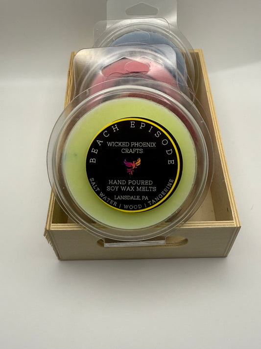 Beach Episode Wax Melt